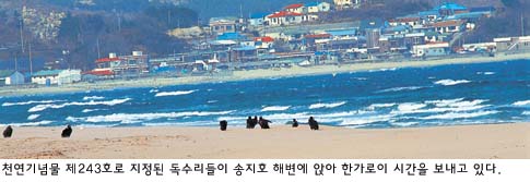 [생태기행]동해안 석호