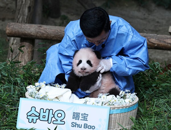 푸바 오